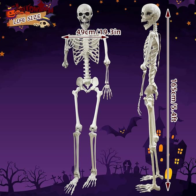 Lodou 5.4Ft Posable Life Size Human Adult Skeletons Plastic Human Bones with Movable Joints for Halloween Decoration-VerdiqueGarden