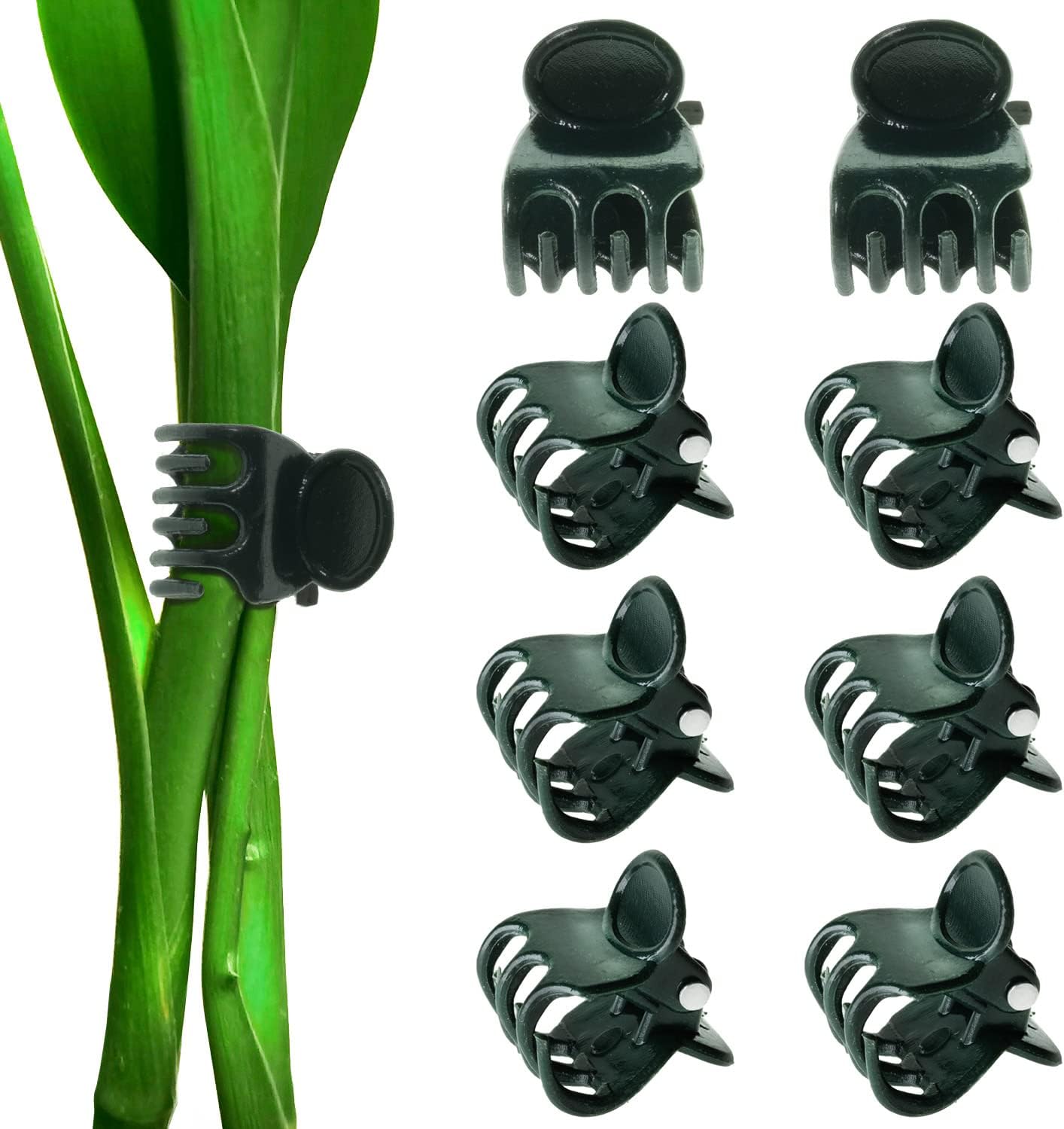 BEADNOVA Plant Clips 100Pcs Orchid Clips Orchid Support Clips Vine Clips Plant Clips for Support Flower Orchid Vine (100PCS)-VerdiqueGarden