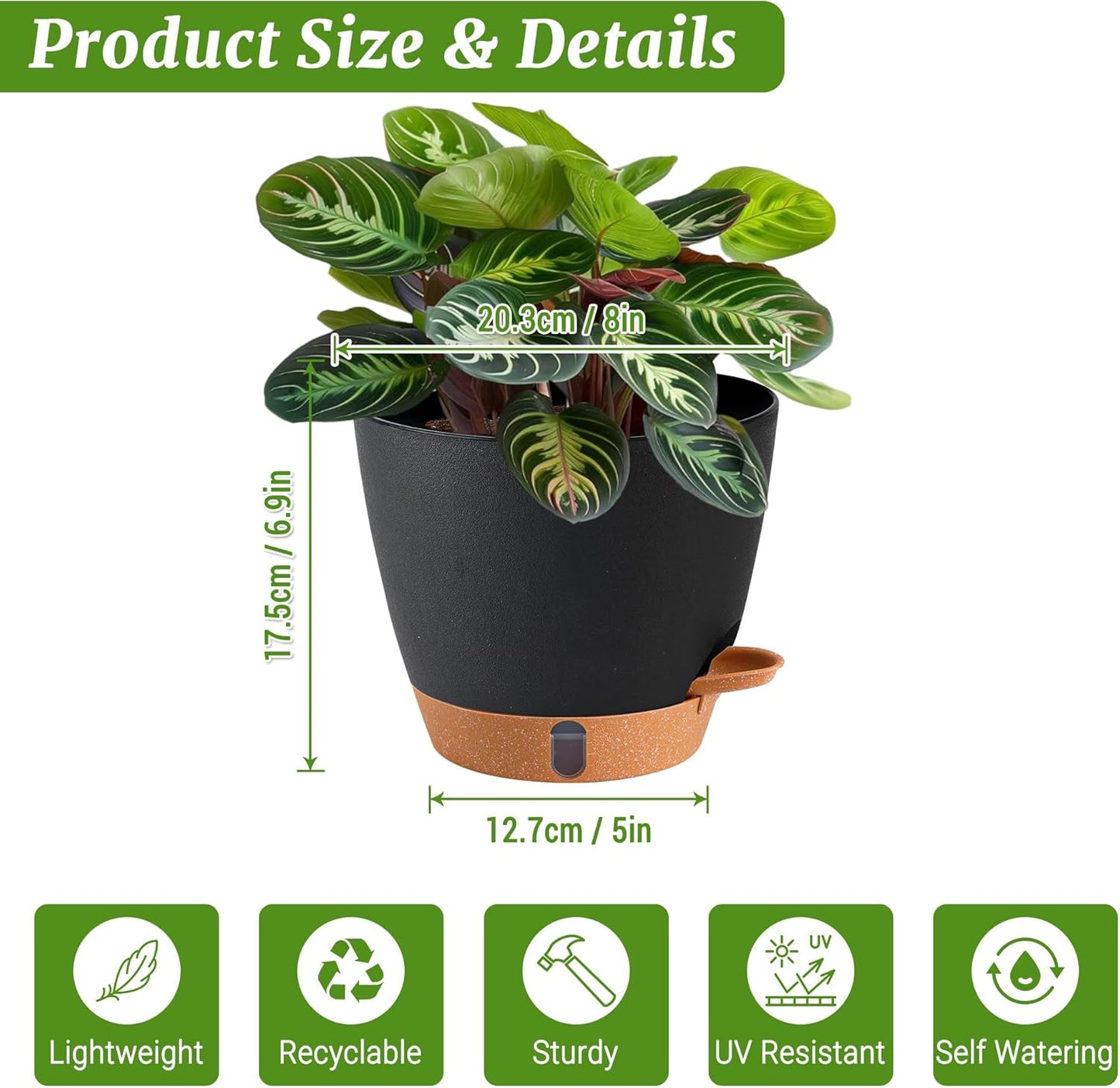 2 Pack 8 Inch Pots for Plants Indoor, Plastic Self Watering Planters with Drainage Holes, Water Level Indicator & Deep Reservoir, Decorative Flower Pots Indoor Outdoor Use (Black-VerdiqueGarden