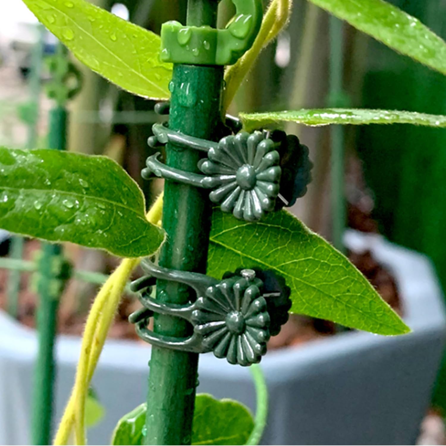 100Pcs Large Plant Clip,Daisy Garden Flower Plant Clip,for Orchids Vine Clip Support Stem Vine Upright Growth (Green)-VerdiqueGarden
