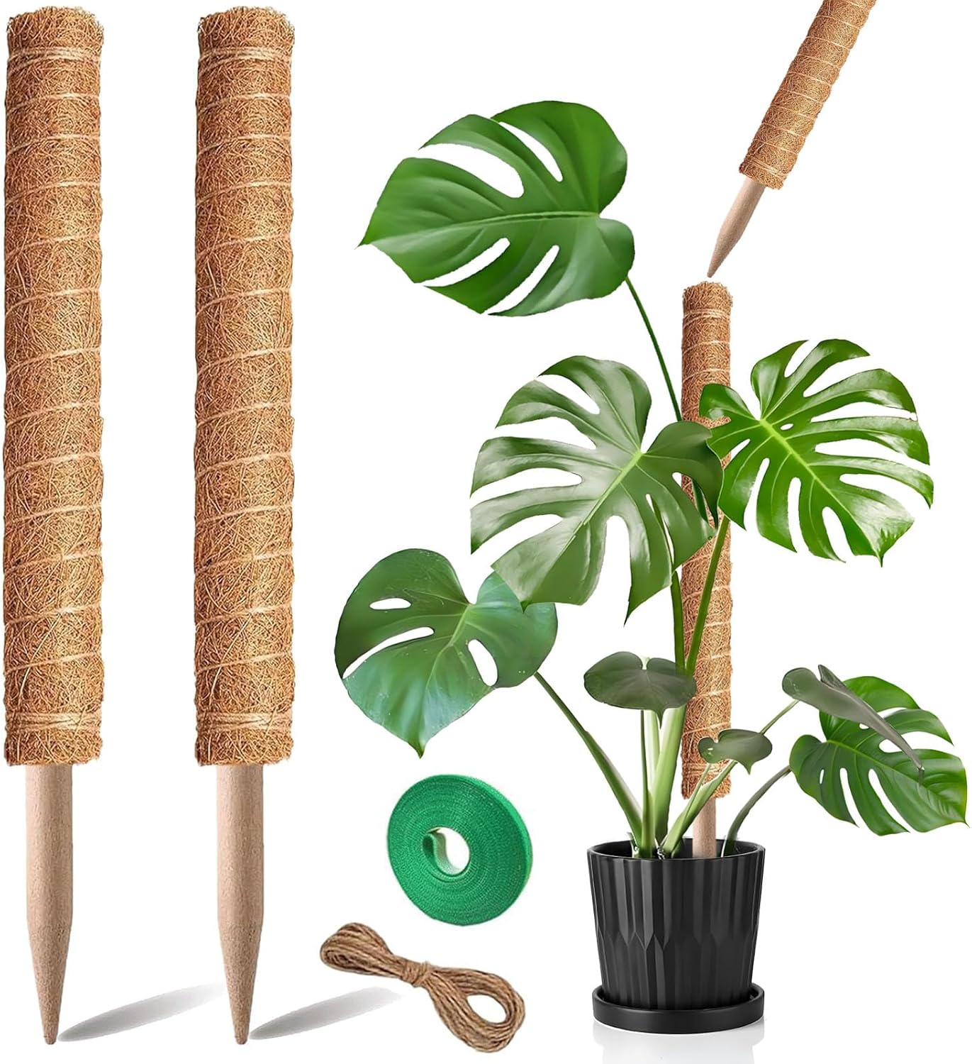 Moss Pole, 2Pack 21 Inch Plant Support Stakes for Indoor Plants, Monstera Plant Support Stakes, 37 Inch Tall Coir Plant Pole Sticks for Potted Plants, Pothos, Philodendron-VerdiqueGarden