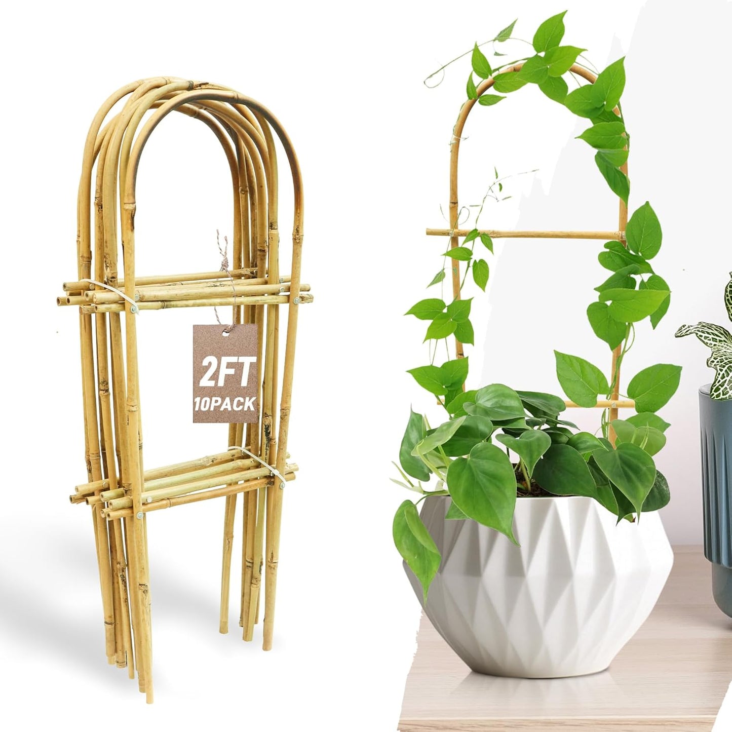 Avalution 10 Pack Bamboo U Trellis for Climbing Plants, 2ft Garden Ladder Trellis for Potted Plants Indoor, Ladder Small Plant Support Trellis for Houseplants Ivy Hoya Vine Monstera-VerdiqueGarden