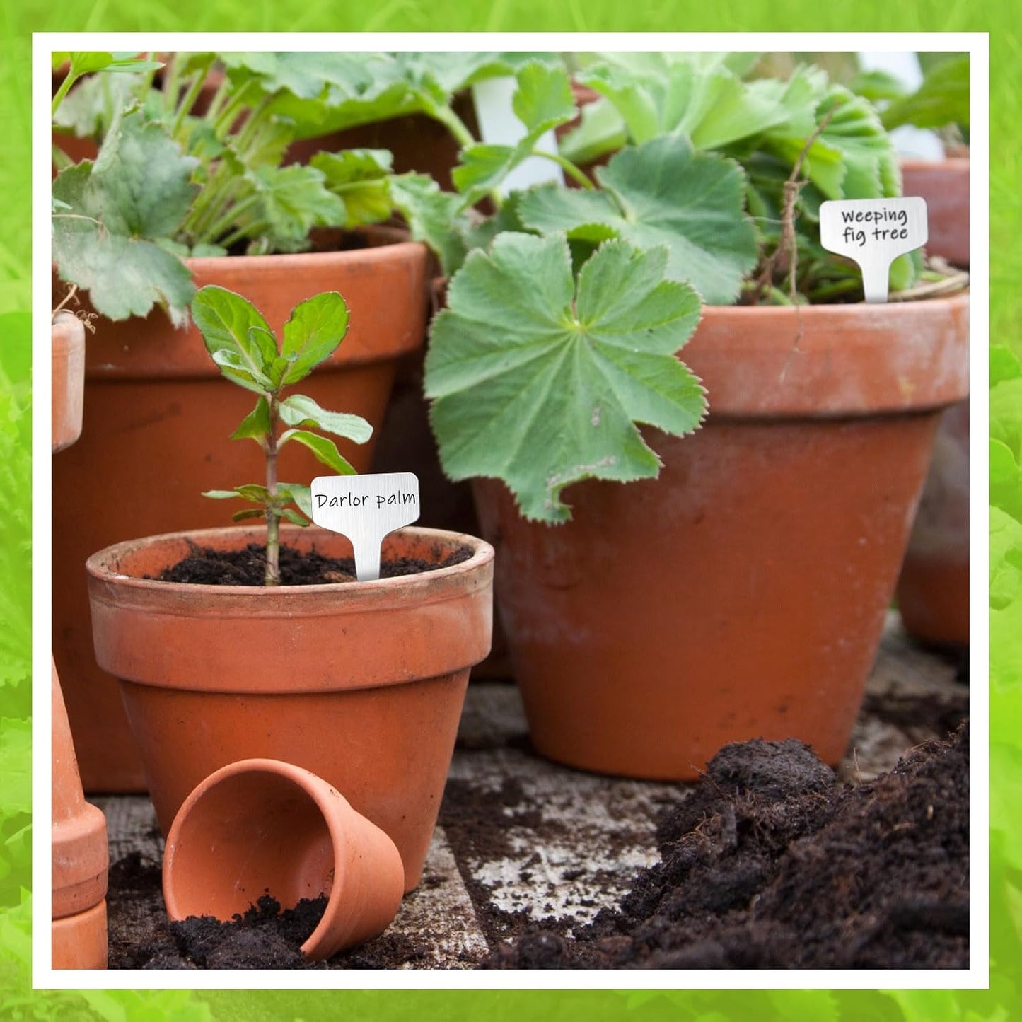 Hicarer 24 Pcs Durable Metal Plant Labels Christmas Gift Weatherproof Garden Markers Engraving Stainless Steel 304 T-Type Reusable Plant Tags for Gardeners Outdoor Greenhouse Vegetables(4x2.4 Inch)-VerdiqueGarden