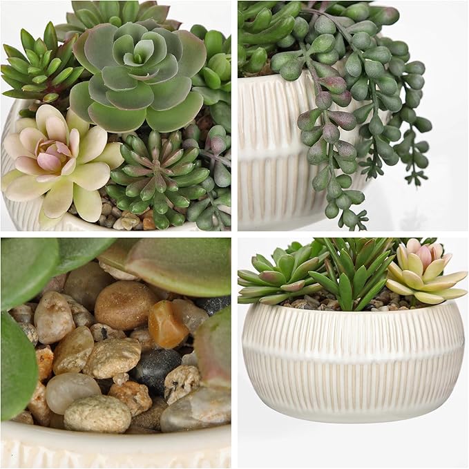 DILATATA Artificial Succulent Plants in Pot 5.5 Inch Fake Succulents Arrangement Potted Plant in White Ceramic Planter Bowl for Home Office Desk Shelf Living Room Bedroom Bathroom Decor-VerdiqueGarden