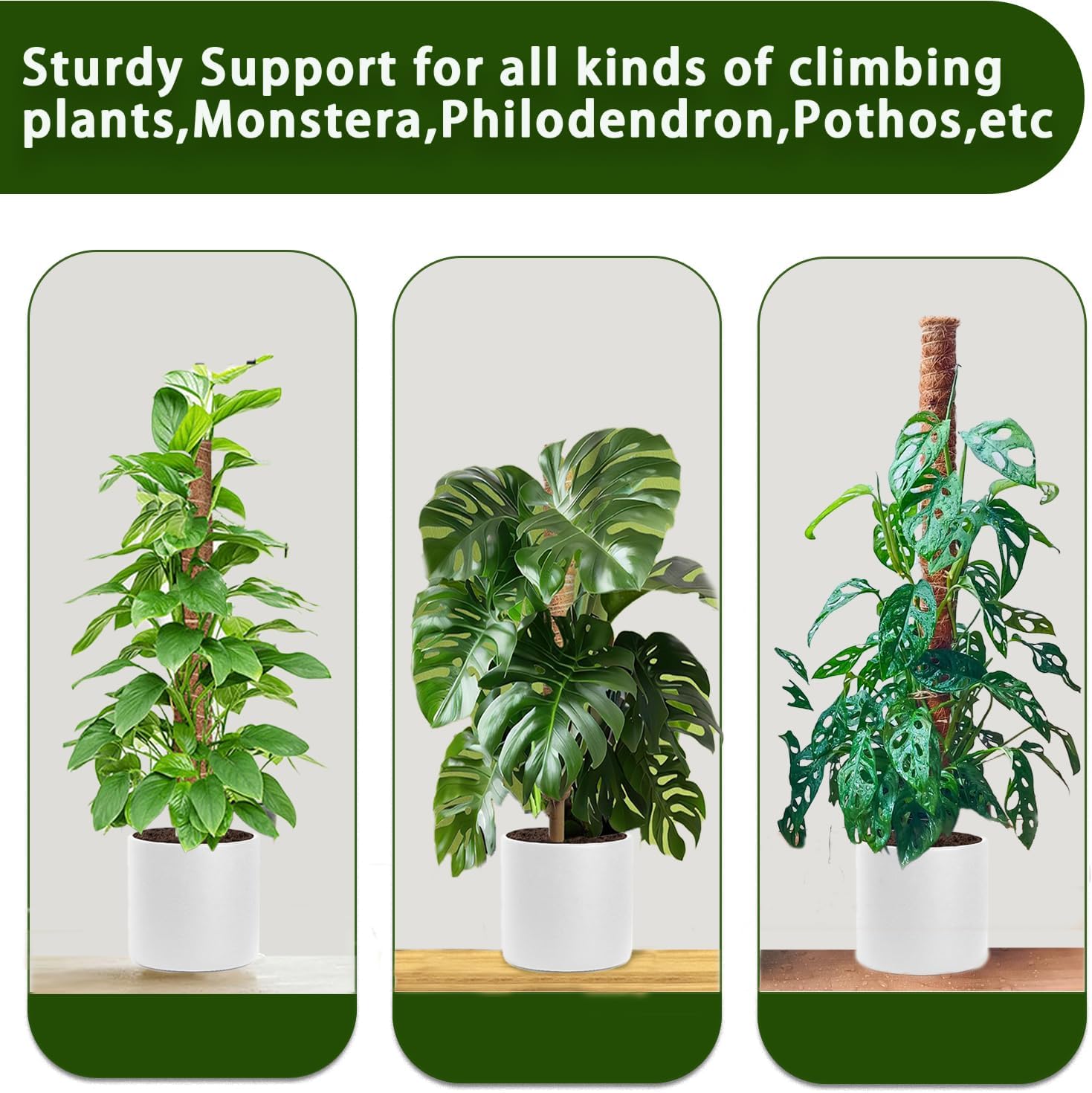 Moss Pole, 4 Pack 17Inch Monstera Plant Support for Climbing Plants Accessories Indoor -Stackable Moss Poles Plant Support Stakes -Coir Plant Pole Sticks for Potted Plants -Pothos, Tall Plant Trellis-VerdiqueGarden