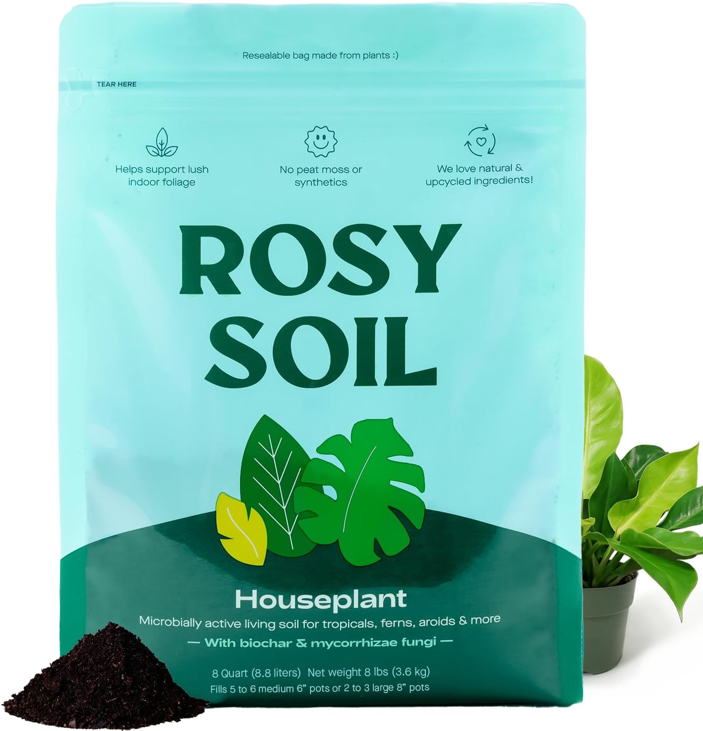 Rosy Soil Indoor Potting Soil for House Plants - Organic Potting Soil Mix for Indoor Plants - Enriched w/Root-Boosting Biochar for Foliage Plants, Flowers, Herbs - Peat Free, Less Prone to Gnats - 4qt-VerdiqueGarden