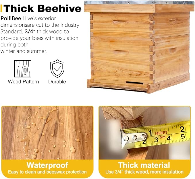 POLLIBEE 10 Frame Bee Hive,Beeswax Coated Beehive Kit for Bee Keeper,Complete Beehive Include 1 Deep Brood Bee Box and 1 Medium Bee Hive Box with Frame and Foundation-VerdiqueGarden