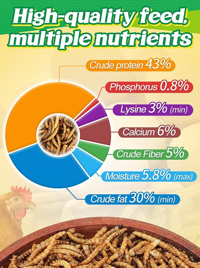 Mealworms Chicken Treats 2 Lbs with Handle Packing, High-Protein Promote Egg Production, Natural Chicken Feed for Laying Hens Wild Birds Ducks-VerdiqueGarden