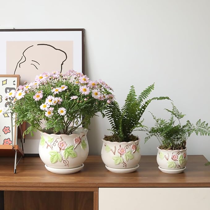 Ceramic Plant Pots with Drainage Holes and Saucers, Round Flower Pots for Indoor Plant, 3.9/5.2/6.7 Inches Small Flower Planters Set of 3-VerdiqueGarden