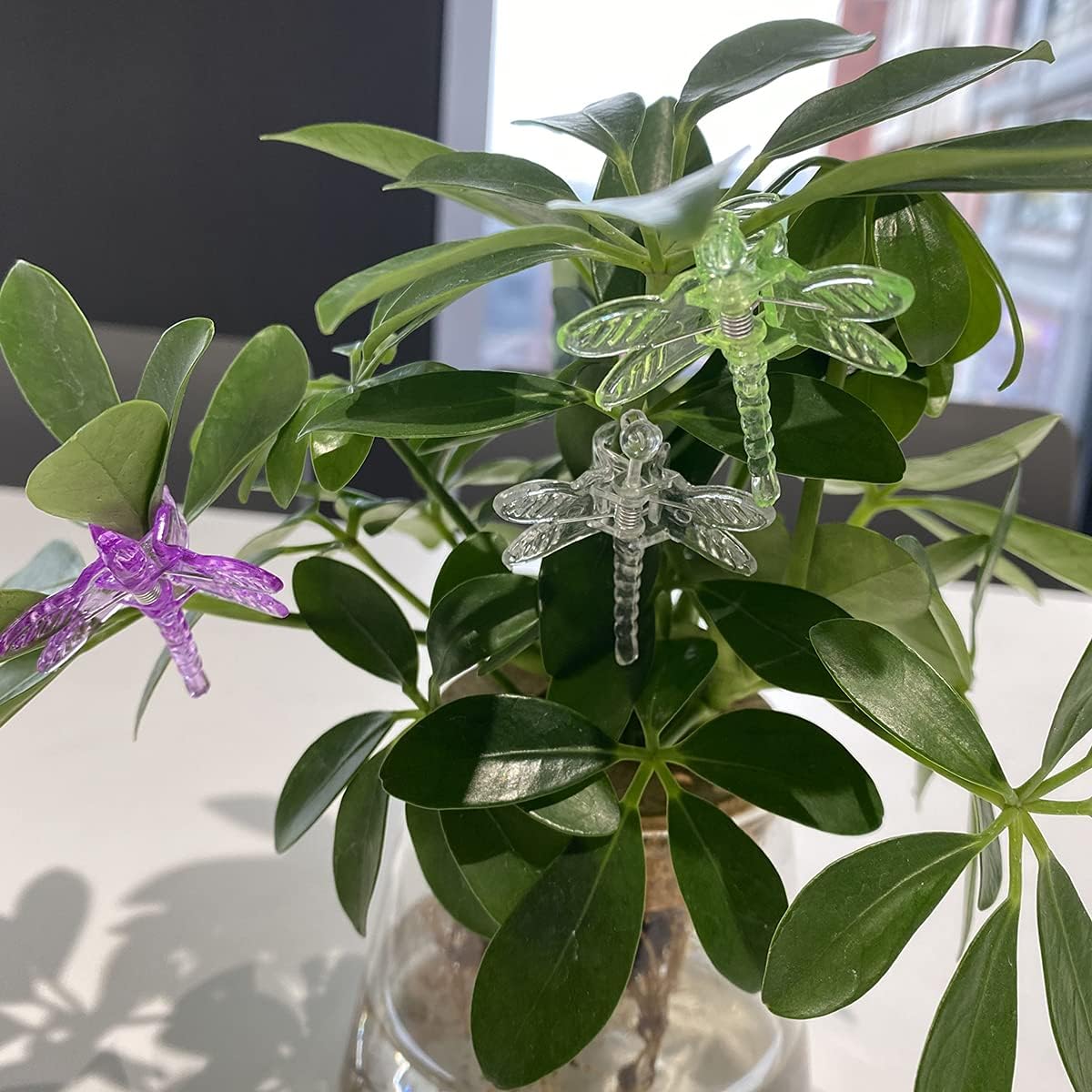 30Pcs Colorful Dragonfly Orchid Clips, Garden Plant Vine Support Clips Flower Clips-VerdiqueGarden