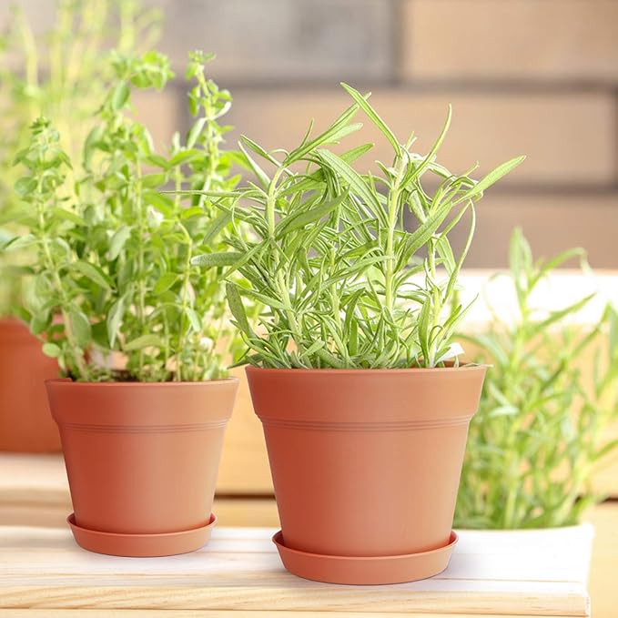 Homenote Pots for Plants, 15 Pack 6 Inch Plastic Planters with Multiple Drainage Holes and Tray - Plant Pots for All Home Garden Flowers Succulents (Terra Cotta)-VerdiqueGarden