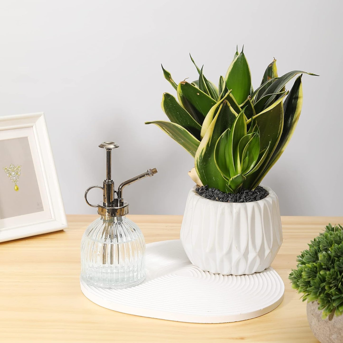 Glass Plant Mister Water Spray Bottle, 200 ML Glass Plant Spritzer Mister Bottle, Vintage Style Glass Succulent Watering Bottle with Top Pump, Plant Sprayer Mister for Indoor Plants - Clear-VerdiqueGarden