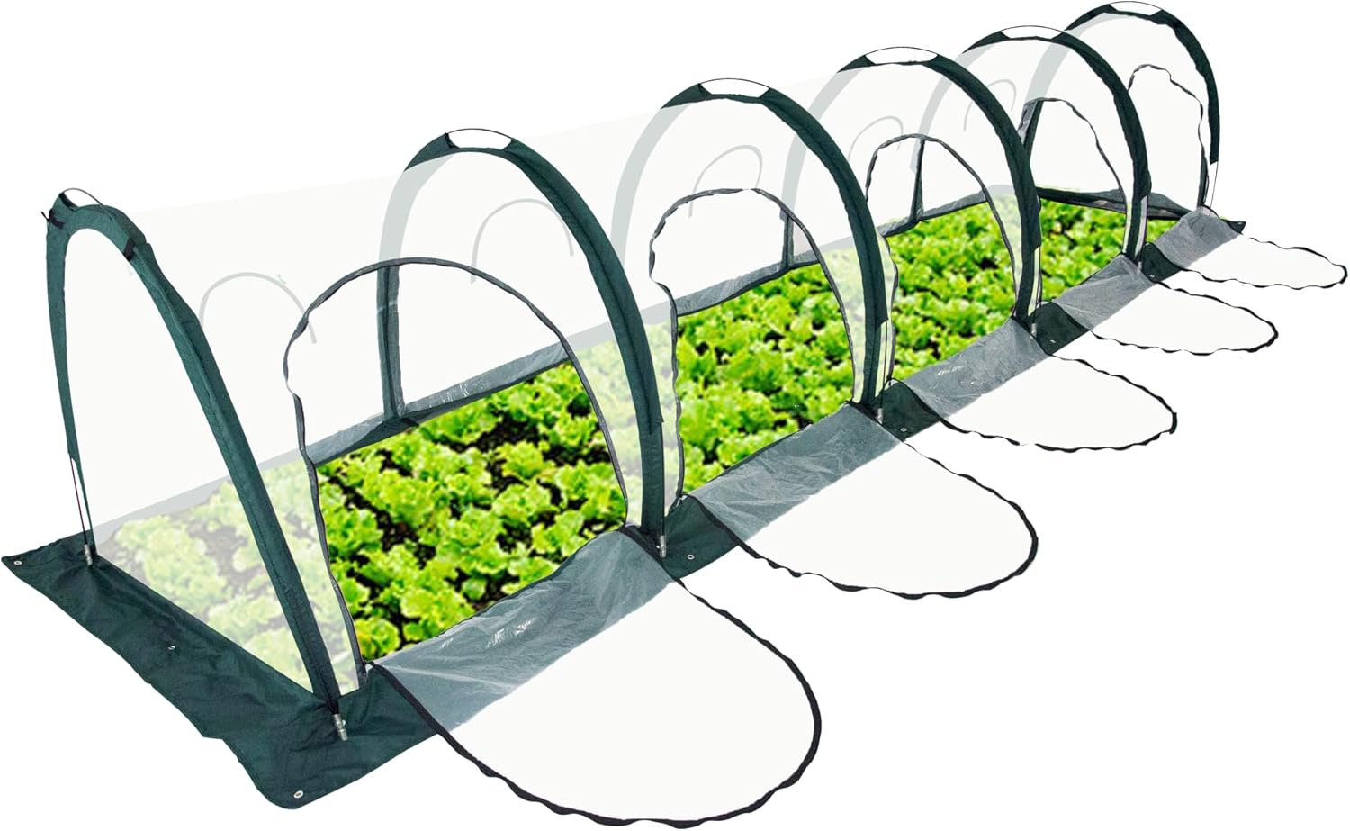 Portable PE Plastic Tunnel Greenhouse for Outdoors - Cambered Poly Transparent Long Greenhouses Clear Insulation Grow Tent Ideal for Backyards and Patio Vegetable Cultivation (5M)-VerdiqueGarden