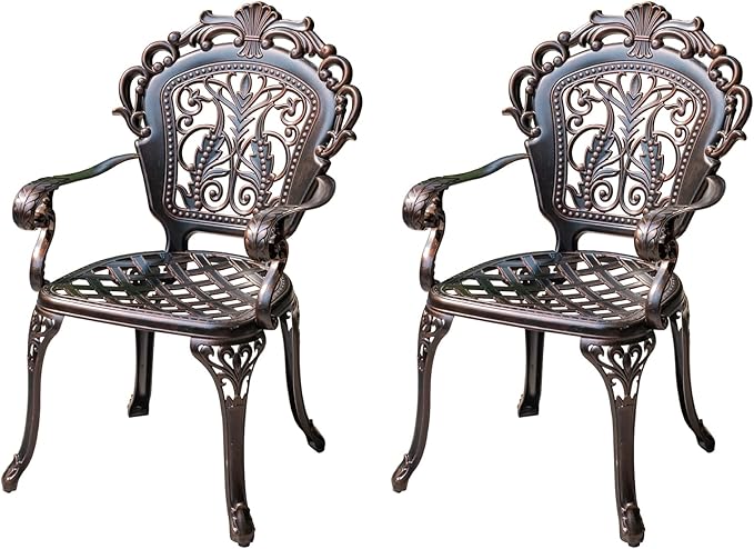 Outdoor Dining Chair Cast Aluminum Patio Chairs Set of 2 All-Weather Patio Dining Chair with Adjustable Feet for Backyard Garden (B-Style Finland Chair)-VerdiqueGarden