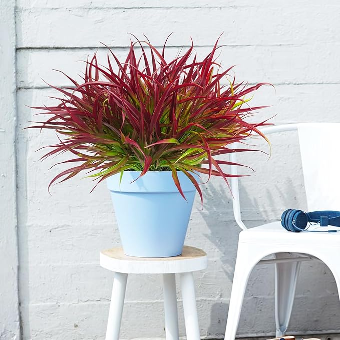 Uieke 28 Bundles Artificial Outdoor Plants UV Resistant Fake Grass Plants Faux Plastic Plants Greenery Shrubs for Home Garden Pathway Window Box Front Porch Summer Fall Decor, Deep Red-VerdiqueGarden