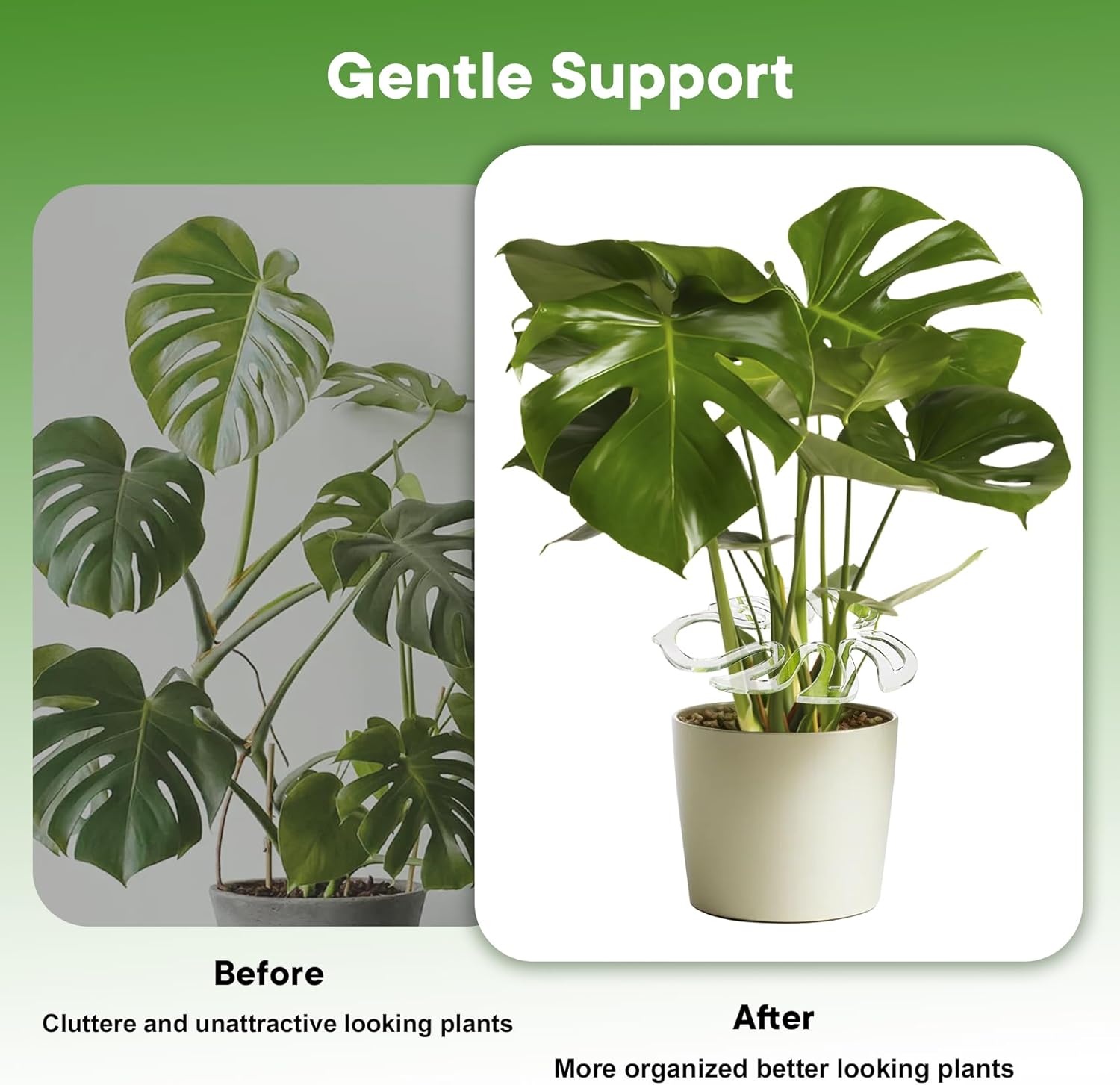 2PCS Plant Stem Support , Acrylic Monstera Stabilizer Grapple Holder Unique Design for Climbing Plants, Turtle Shell Bamboo Clamp Set, Ideal Plant Support for Thriving Growth Indoor Outdoor Plants-VerdiqueGarden