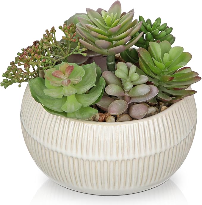 DILATATA Artificial Succulent Plants in Pot 5.5 Inch Fake Succulents Arrangement Potted Plant in White Ceramic Planter Bowl for Home Office Desk Shelf Living Room Bedroom Bathroom Decor-VerdiqueGarden