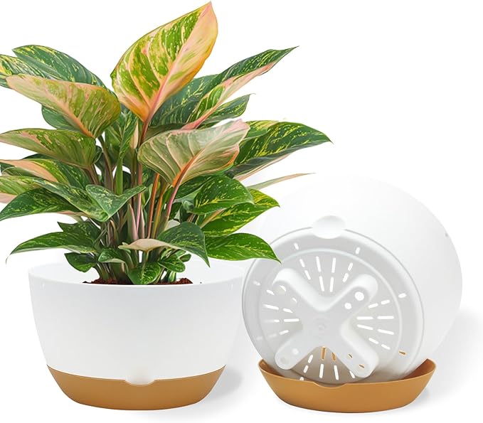 10 Inch Pots for Indoor Plants, Large Self Watering Planters with Drainage and Saucers, Plastic Outdoor Flower Pot, Set of 2, White-VerdiqueGarden