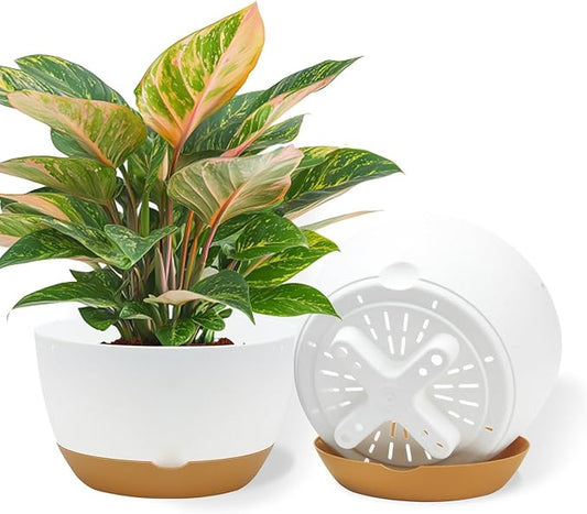 10 Inch Pots for Indoor Plants, Large Self Watering Planters with Drainage and Saucers, Plastic Outdoor Flower Pot, Set of 2, White-VerdiqueGarden