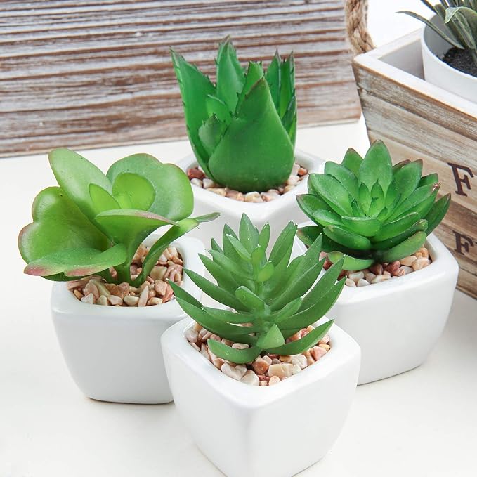 Hollyone Succulents Plants Artificial 4Pcs Small Fake Succulents in Pots Faux Plastic Potted Plants with White Ceramic Pot for Home Decor Office Desk Bathroom Shelf Indoor & Outdoor Decoration-VerdiqueGarden