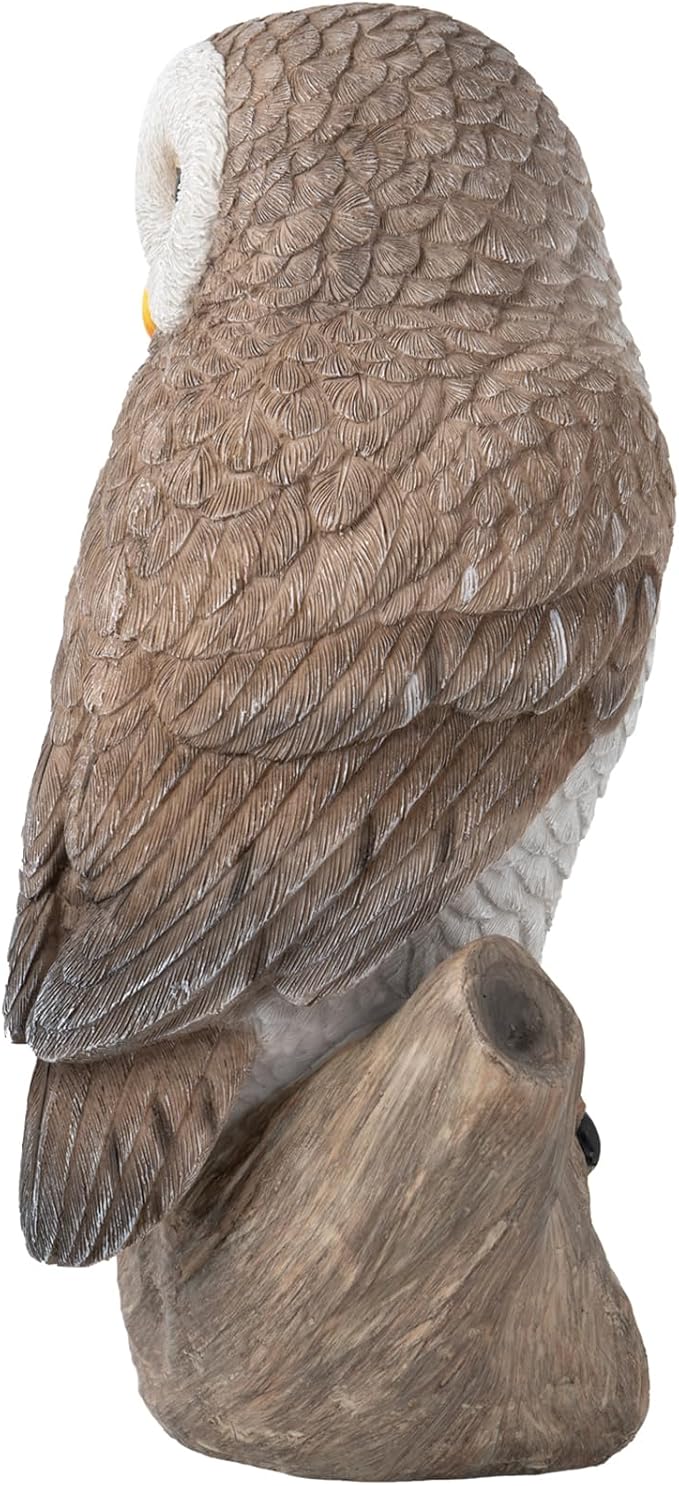 Owl Outdoor Statues Garden Yard - Decoration Home Decor Indoor Desk Tabletop Collectible Figurines Ancient Retro Collection 11" x4.5" x5 Inch-VerdiqueGarden