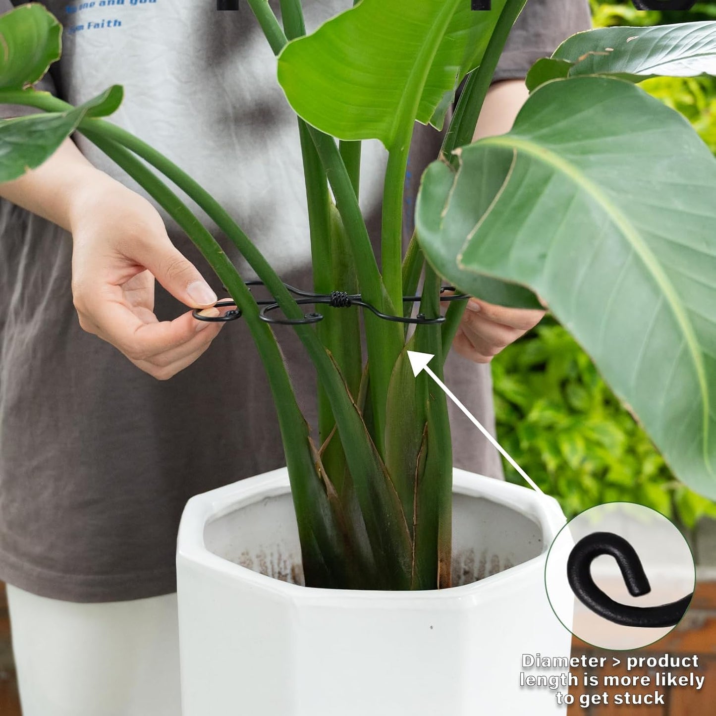 Black Monstera Plant Support Hook - 6.5 * 6.5IN -5 Piece Set, Durable Metal Stem Supports for Indoor Plants, Leaf Holder & Fishbone Cactus Stake, Stylish Design for Healthy Growth & Easy Care-VerdiqueGarden