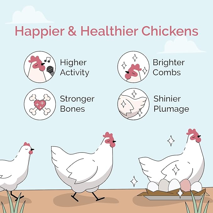 Chick Grit for Baby Chicks - Chickens Age 0-8 Weeks, 100% Natural Mineral Chick Grit Quartzite, Poultry Grit Digestive Aid, USA Mined, 50 lb-VerdiqueGarden