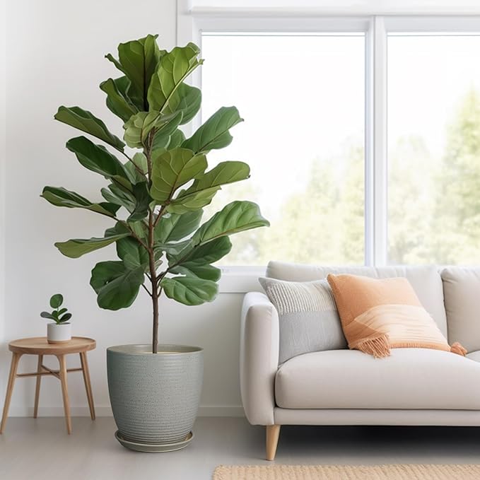 12 Inch Plant Pot, Ceramic Planter Pot with Drainage Hole and Saucer Round Large Flower Pot for Indoor Plants, Light Gray-VerdiqueGarden