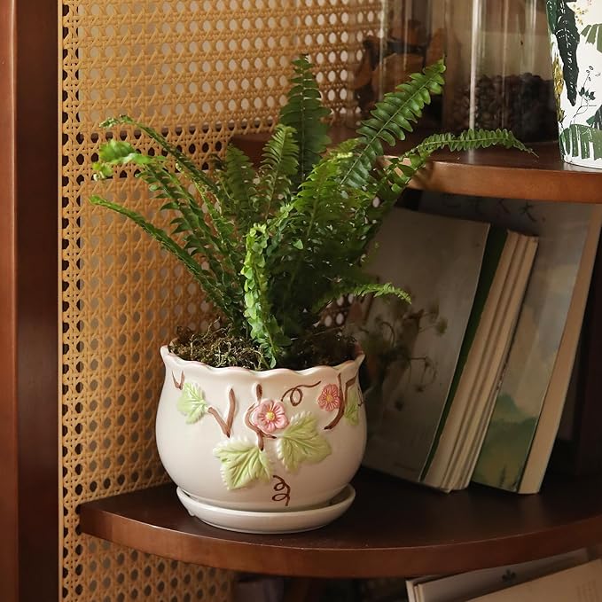 Ceramic Plant Pots with Drainage Holes and Saucers, Round Flower Pots for Indoor Plant, 3.9/5.2/6.7 Inches Small Flower Planters Set of 3-VerdiqueGarden