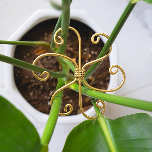 5PCS Monstera Plant Support System 4.1IN - Durable Hook Stem Supports for Healthy Growth, Stabilizer for Leaves and Turtle Shells, Easy-to-Use Indoor Plant Care, Ideal Present for Plant Lovers-VerdiqueGarden