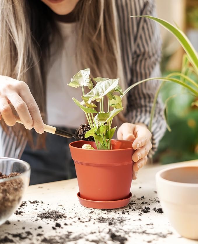 Homenote Pots for Plants, 15 Pack 6 Inch Plastic Planters with Multiple Drainage Holes and Tray - Plant Pots for All Home Garden Flowers Succulents (Terra Cotta)-VerdiqueGarden