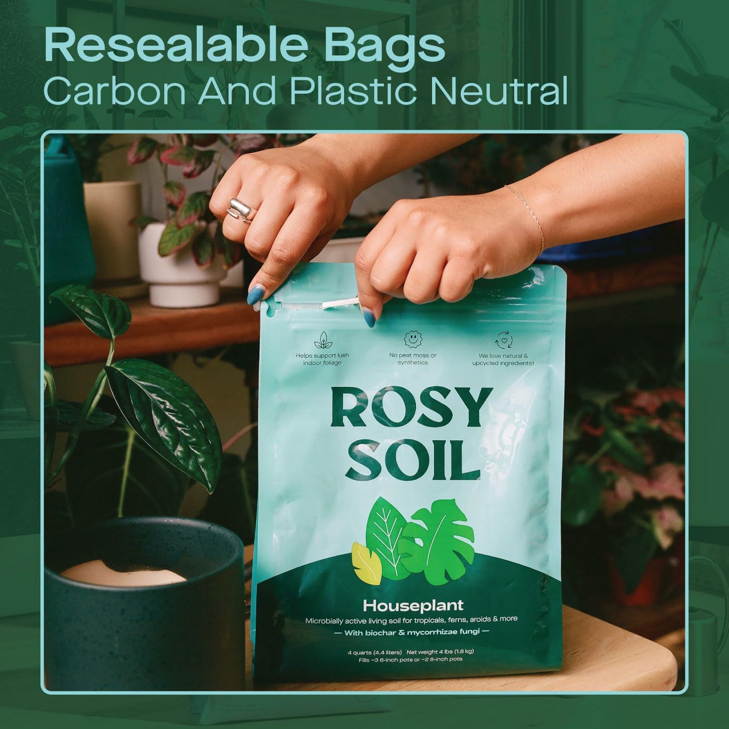 Rosy Soil Indoor Potting Soil for House Plants - Organic Potting Soil Mix for Indoor Plants - Enriched w/Root-Boosting Biochar for Foliage Plants, Flowers, Herbs - Peat Free, Less Prone to Gnats - 4qt-VerdiqueGarden