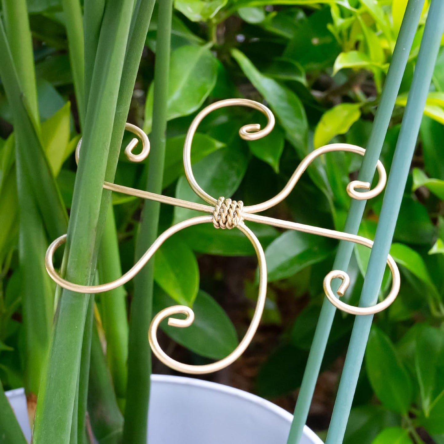 5PCS Monstera Plant Stem Support Hook - 6.5 * 6.5IN Durable Metal Stem Stabilizer for Monstera Plants and Fishbone Cactus - Gentle Protection Leaf Holder - Easy Installation - 5 Piece Set-VerdiqueGarden