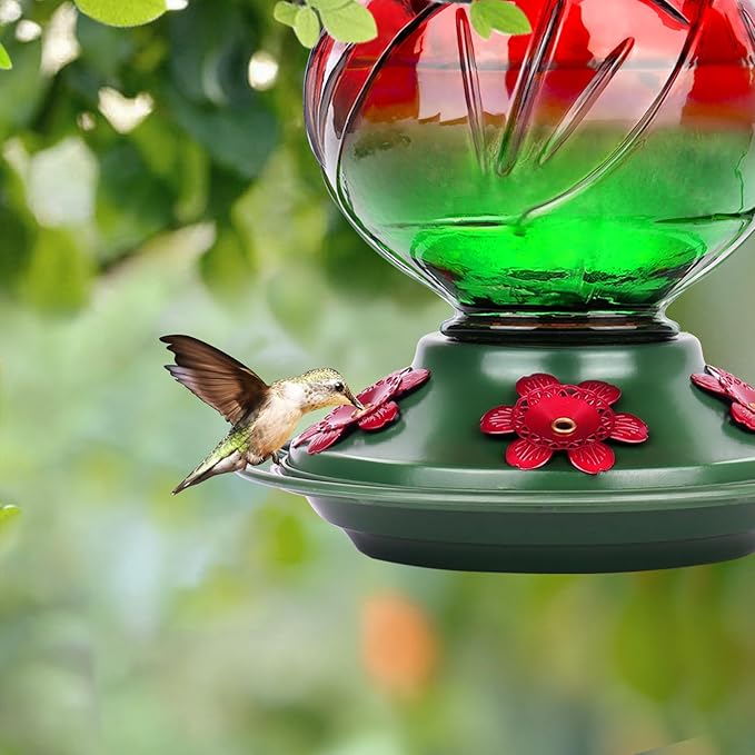 BOLITE Hummingbird Feeder, Glass Hummingbird Feeders for Outdoors Hanging, 22 Ounce, Five Feeding Ports with Perch, Peony Flower Shape, Red and Green, Gifts for Women Men, Gifts for Mom Dad-VerdiqueGarden