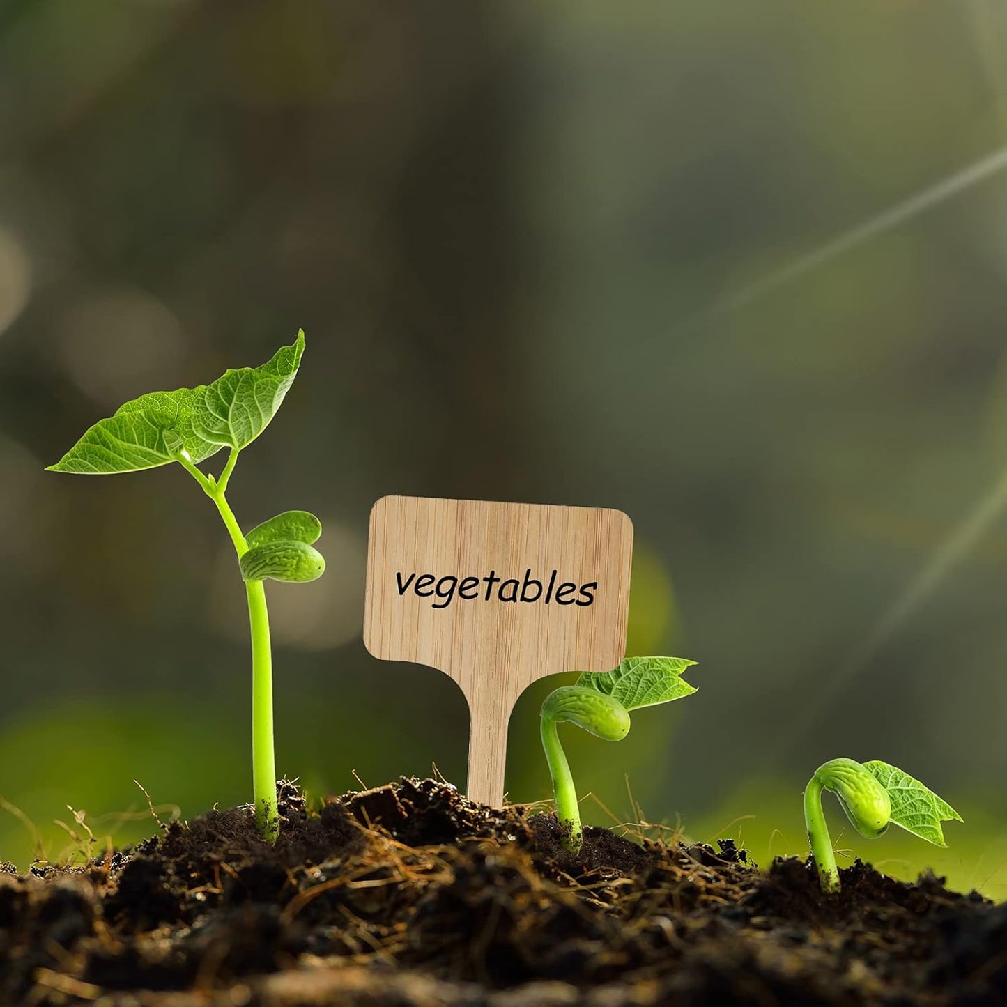 100Pcs Wooden Plant Labels, Eco-Friendly T-Type Bamboo Plant Labels Tags Garden Plant Markers for Seed Potted Herbs Flowers Vegetables (6 x 10 cm)-VerdiqueGarden