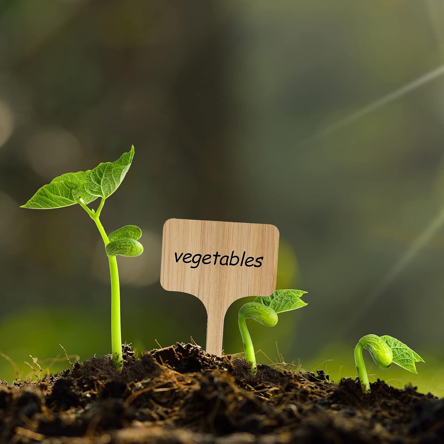 100Pcs Wooden Plant Labels, Eco-Friendly T-Type Bamboo Plant Labels Tags Garden Plant Markers for Seed Potted Herbs Flowers Vegetables (6 x 10 cm)-VerdiqueGarden