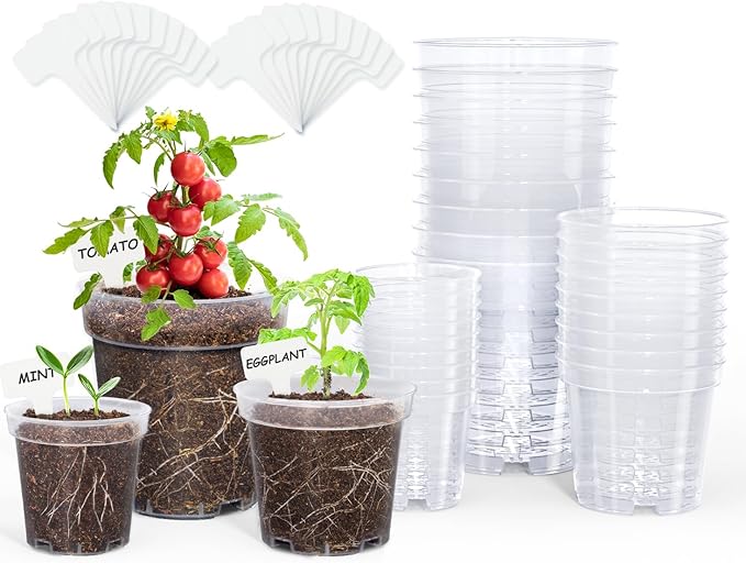 homenote Clear Nursery Pots for Plants,4 Inch Plant Pot for Planting Plastic Seedling with Drainage Holes Seed Starter Flower High Transparency 20 Labels Exclusive Material Excellent Hardness(30 Pack)-VerdiqueGarden