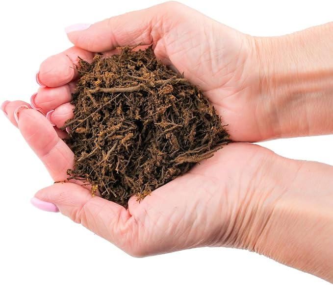 Premium New Zealand Tree Fern by GARDENERA - Orchid and Epiphytal Plants Growing Medium and Reptile Substrate - 5 Quart Bag-VerdiqueGarden