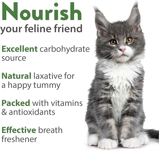 HOME GROWN 3 Cat Grass Seed Mix – Non-GMO Heirloom Oat, Alfalfa & Cat Grass Seeds | Indoor Pet Grass for Cats | High-Germination Greens for Hairball Control, Digestion, and Chewing Enrichment-VerdiqueGarden