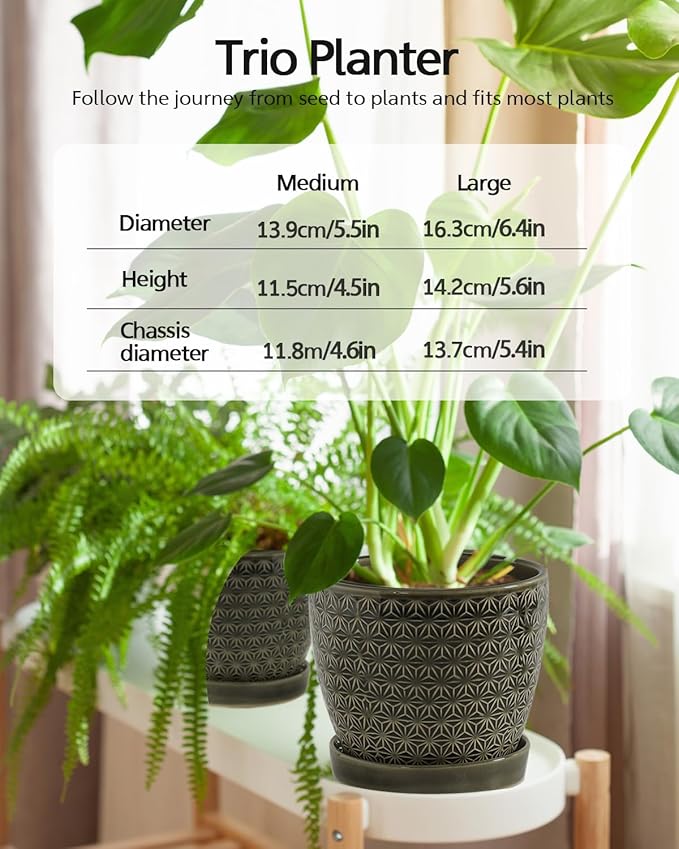 Plant Pots, Flower Pots, Planters for Indoor Plants(6.5+5.5inch), Flower Pots for Indoor Plants with Drainage Hole and Saucer, Ceramic Pots for Plants with Hole Mesh Pad,Reactive Glaze Green-VerdiqueGarden