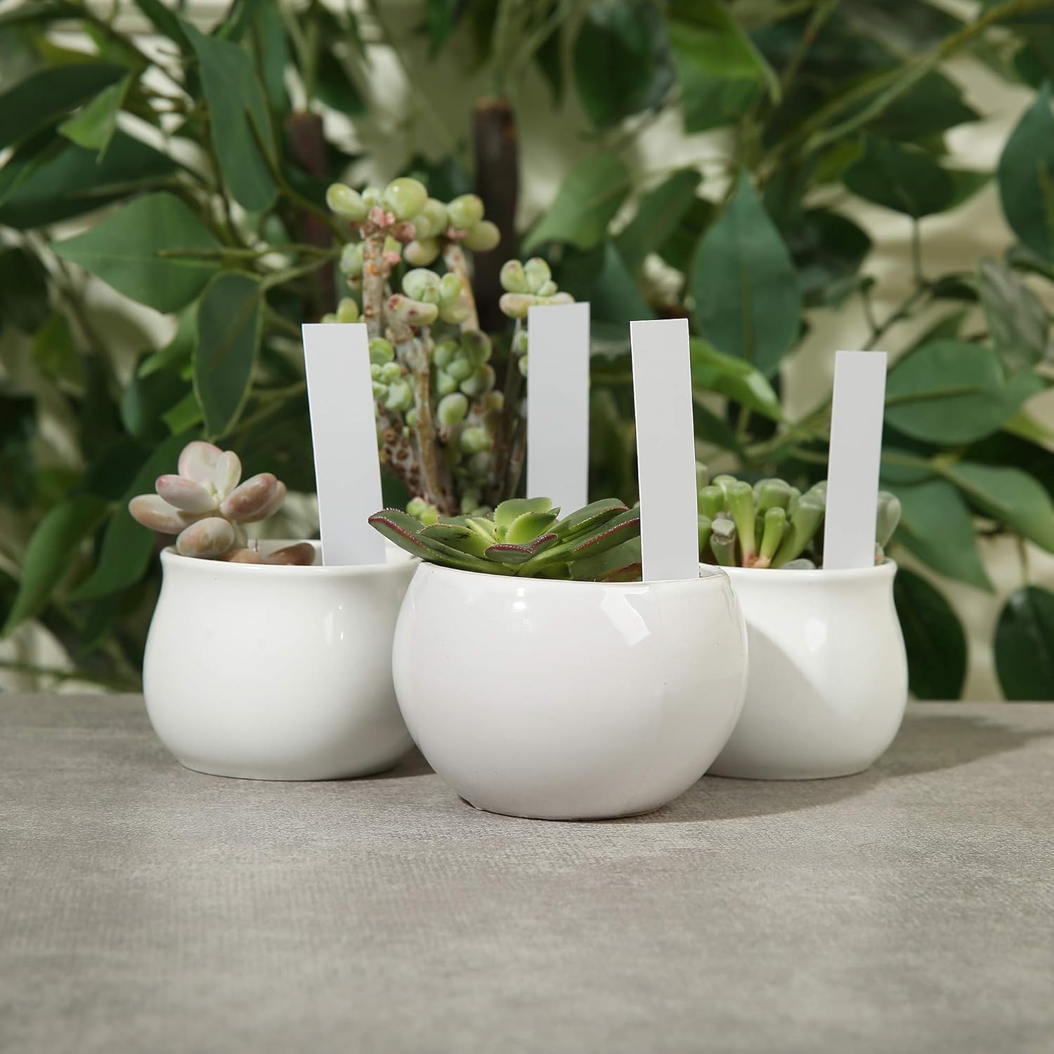 1000 Pcs Plant Tags, 4 Inch Plastic Garden Plant Pot Markers Waterproof Plant Label, White-VerdiqueGarden