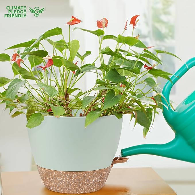 12 inch Large Self Watering Plant Pots, Flower Pots Planters with Multi Mesh Drainage Holes for Indoor Outdoor Garden Plants and Flowers-VerdiqueGarden