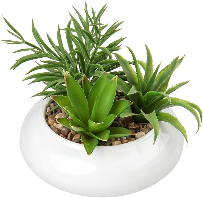Hollyone Large Artificial Succulents Plants Faux Succulents in Pots Fake Succulent Plastic Potted Plants with White Ceramic Pot for Home Decor Office Desk Bathroom Shelf Living Room Decoration-VerdiqueGarden