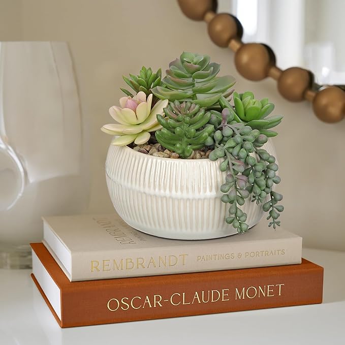 DILATATA Artificial Succulent Plants in Pot 5.5 Inch Fake Succulents Arrangement Potted Plant in White Ceramic Planter Bowl for Home Office Desk Shelf Living Room Bedroom Bathroom Decor-VerdiqueGarden