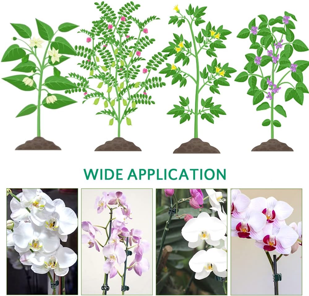Orchid Clips, ARRITZ 100pcs Garden Plant Clips for Vines Flowers Keep Stems Vines Flowers Grow Upright-VerdiqueGarden