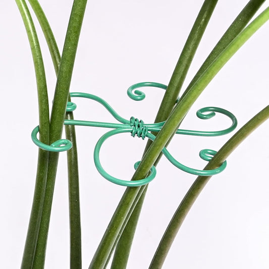 5PCS Monstera Plant Support Hook - 4.1 * 4.4IN, Durable Flexible Stabilizers for Indoor Plants, Metal Stem Supports and Leaf Holders, Easy Tool-Free Operation, Ideal for Fishbone Cactus Care-VerdiqueGarden