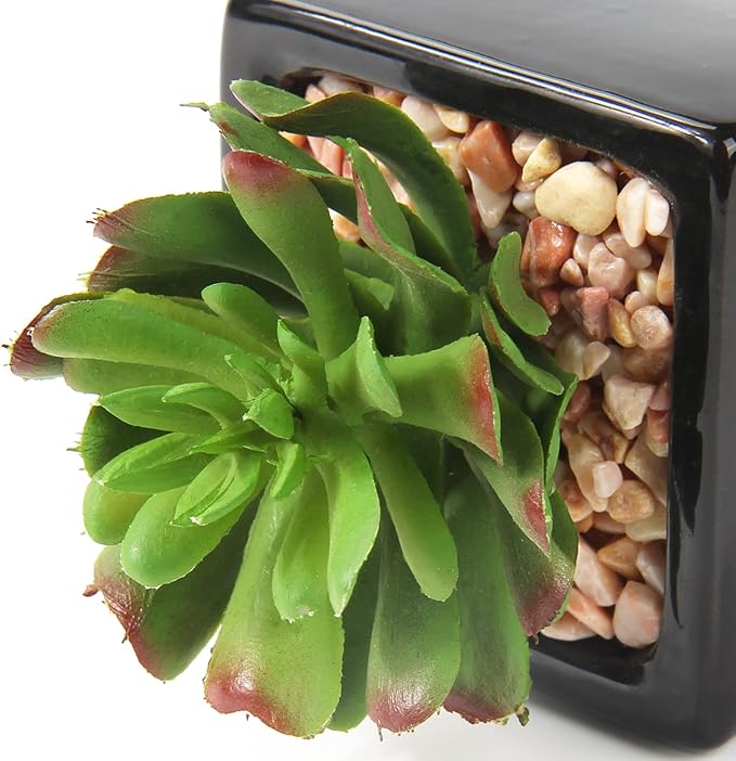 Hollyone Small Succulents Artificial 3 Pcs Faux Succulents in Pots Fake Succulent Plants with Black Ceramic Pots for Modern Home Office Desk Bathroom Shelf Living Room Decor-VerdiqueGarden