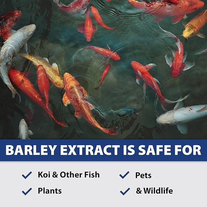 The Pond Guy Barley Extract Natural Liquid Treatment for Ponds and Water Gardens, Safe for Koi Fish and Plants, Natural Solutions for Clear Pond Water - 1 Gallon-VerdiqueGarden