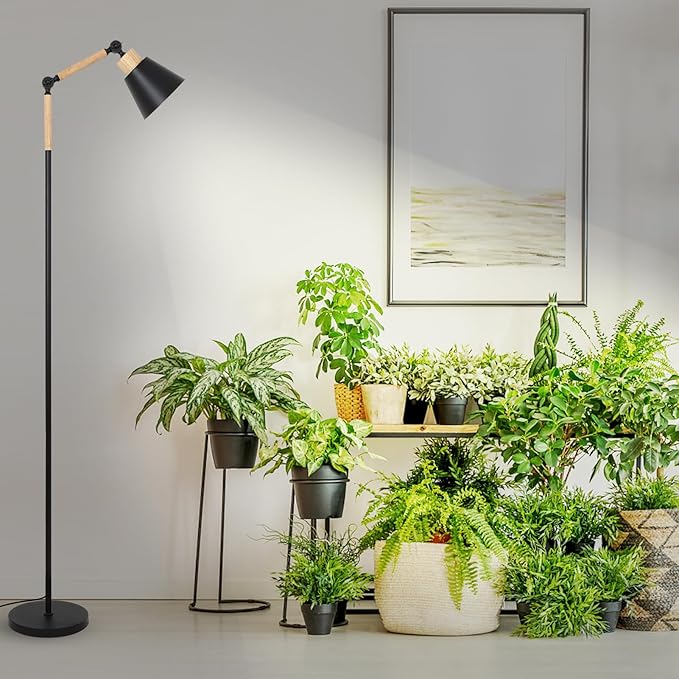 HMVPL Grow Lights for Indoor Plants Full Spectrum, Plant Lights for Indoor Growing with 20W COB Grow Light Blub, 4/8/12H Timer, Standing Tall Grow Lamp for Middle Large Plants(75'', Height Adjustable)-VerdiqueGarden