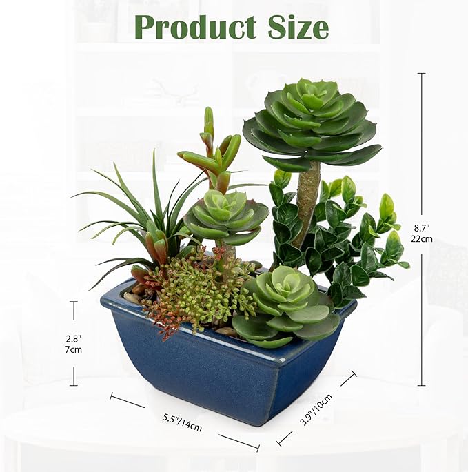 Small Faux Plant Assorted Fake Succulents Plants with Glazed Ceramic Pot Faux Succulents Arrangement Cement Potted Desk Plants Small Fake Plants for Home Table Office Bathroom Shelf Living Room Decor-VerdiqueGarden